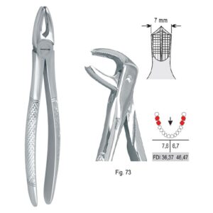 Kleszcze ekstrakcyjne mod. Europejski do zębów trzonowych dolnych fig. 73