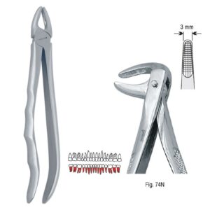 Kleszcze ekstrakcyjne anatomiczne do korzeni dolnych fig. 74N