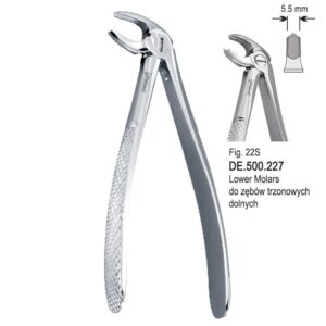 Kleszcze ekstrakcyjne dla dzieci do zębów trzonowych dolnych fig. 22S