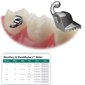 Mini Deluxe Buccal tube single non-convertible, bondable .018" upper left/lower right