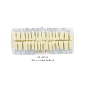 Zęby plastikowe do typodontu bez korzeni ze śrubami (32 szt.)