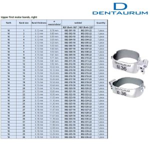 Pierścień Dentaform® góra prawa + zamienna potrójna rurka Roth .022" + Rurka językowa