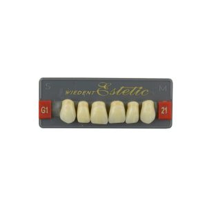 Estetic zęby akrylowe przednie górne fason 21, kolor G1, 6 szt.