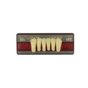 Estetic zęby akrylowe przednie dolne fason 09, kolor R3, 6 szt.