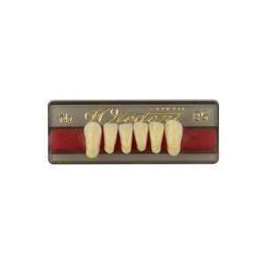 Estetic zęby akrylowe przednie dolne fason 05, kolor N2, 6 szt.