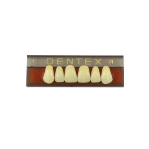 Zęby akrylowe przednie górne nr 1, kolor G1, 6 szt.