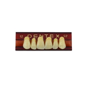 Zęby akrylowe przednie górne nr 12, kolor G2, 6 szt.