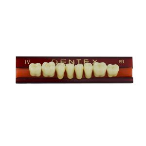 Zęby akrylowe boczne dolne IV, kolor R1, 8 szt.