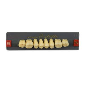 Estetic zęby akrylowe boczne górne 77, kolor N2, 8 szt.