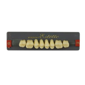 Estetic zęby akrylowe boczne górne 77, kolor G3, 8 szt.