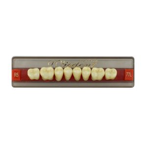 Estetic zęby akrylowe boczne dolne 77, kolor R5, 8 szt.