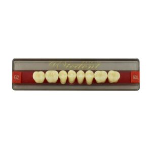 Estetic zęby akrylowe boczne dolne 60, kolor G2, 8 szt.