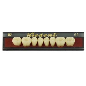 Estetic zęby akrylowe boczne dolne 62, kolor G1, 8 szt.