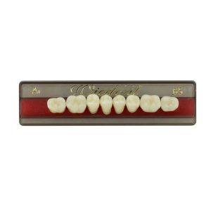 Estetic zęby akrylowe boczne dolne 65, kolor A1, 8 szt.