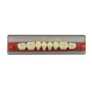 Estetic zęby akrylowe boczne dolne 65, kolor G1, 8 szt.