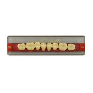 Estetic zęby akrylowe boczne dolne 65, kolor N2, 8 szt.