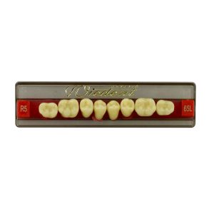 Estetic zęby akrylowe boczne dolne 65, kolor R5, 8 szt.