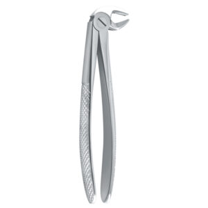 Kleszcze ekstrakcyjne Petite mod. Europejski do zębów trzonowych dolnych fig. 22