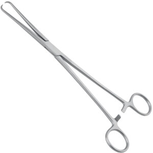 Forceps teneculum Pozzi 1x1th 255mm